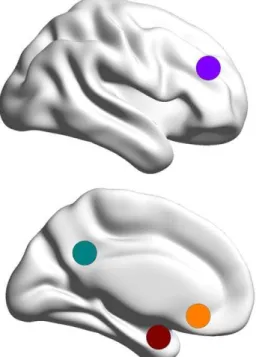 Figure 2. Seed region selection. Each of the four solid circles corresponds to a seed region in the Cognitive Control Network (CCN;