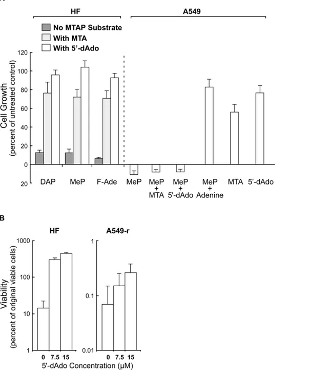 Figure 2. MTA and 59-dAdo protect MTAP-positive HF, but not MTAP-negative A549 cells, from toxic adenine analogs