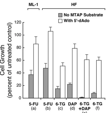 Figure 5. Protection by 59-dAdo from toxicity of 5-FU and 6-TG in MTAP-positive ML-1 and HF cells