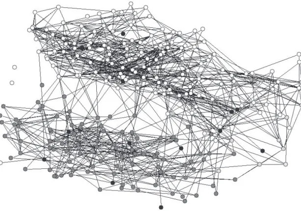 Figure 1.3: “Add Health” Friendships among High School Students Coded by Race: