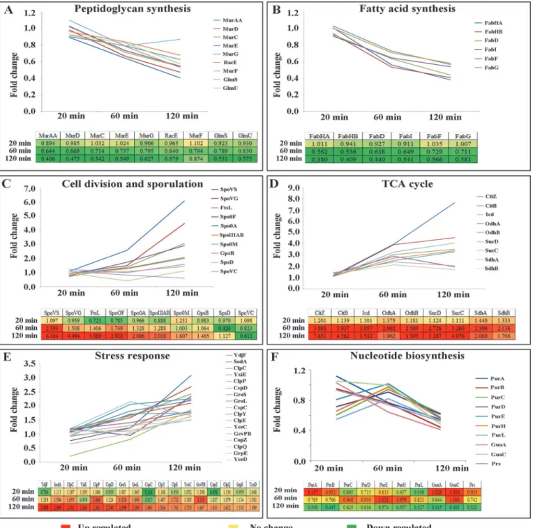 Fig 4. Quantitative profiles of the differentially expressed proteins involved in diverse biological processes identified in iTRAQ-based quantitative proteomics analysis using LTQ-Orbitrap