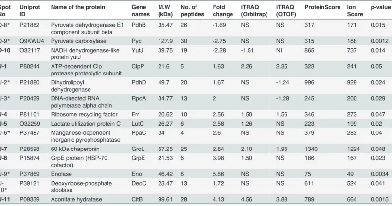 Table 1. (Continued) Spot