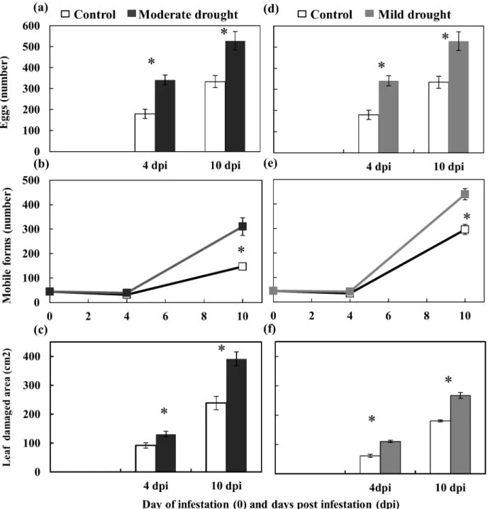 Fig 3. Performance of T. evansi in the moderate (a,b&amp;c) and mild (d,e,f) drought stress experiments