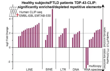 Figure 2. TDP-43 binding to TEs is selectively lost in FTLD patients. (A) In the human CLIP-seq data from FTLD versus healthy control, 38 repeat elements showed significant (p-value, = 1e-5 and fold changes