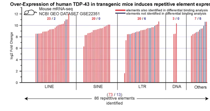 Figure 3. Concordance between mis-regulated TE transcripts upon TDP-43 manipulation and TDP-43 bound TE transcripts