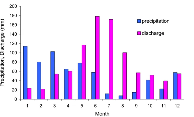 Fig. 2. Annual cycle of precipitation and discharge.