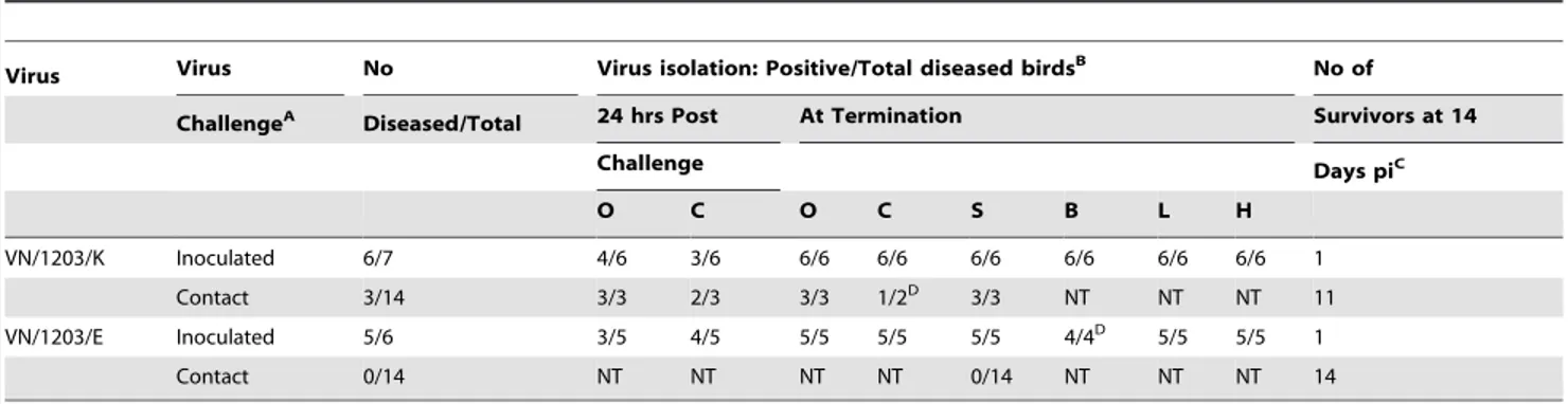 Table 2. Infection of ducks and chickens by inoculation or contact with HP VN/1203/K (K) and HP VN/1203/E (E).