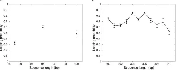 Figure 8. Looping probability p loop , as a function of interoperator spacing. (A) Looping probability for short constructs