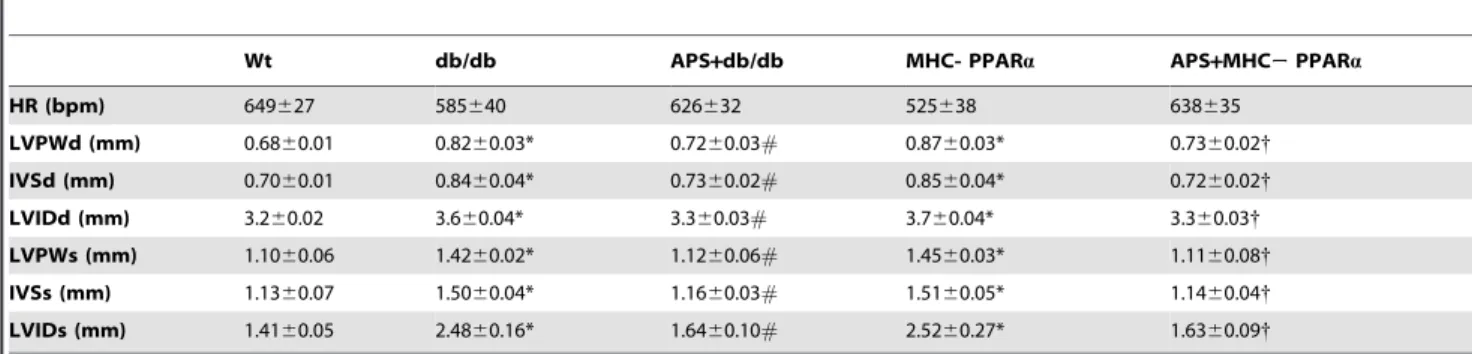 Table 1. Hemodynamics and cardiac function in mice.