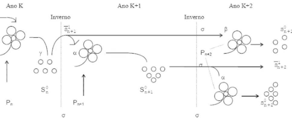 Figura 1.5: Diagrama da propaga¸c˜ ao anual de plantas (cf. [7]).