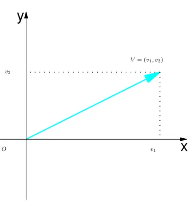 Figura 3.7: As componentes do vetor V no plano