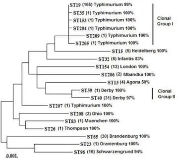 Figure 3. Maximum likelihood tree representing the twenty sequence types associated with asymptomatic swine