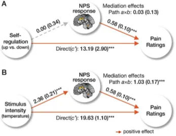 Figure 4. Brain activity induced by self-regulation. (A) Activity in left NAc was associated with regulate-up versus regulate-down instructions (at p,0.05, FWER corrected based on cluster extent, with a primary threshold of p,0.0005, k.84)