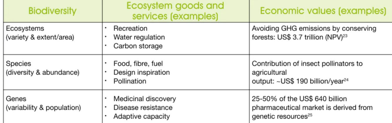 Table 1.  Natural Capital: Underlying Components and Illustrative Services and Values Biodiversity  Ecosystem goods and