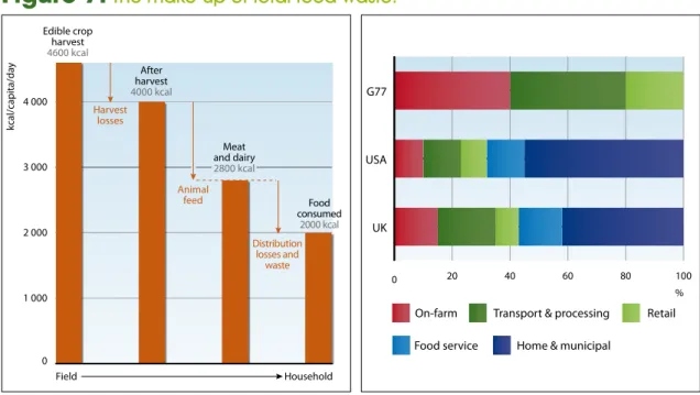 Figure 7.  The make-up of total food waste. 96