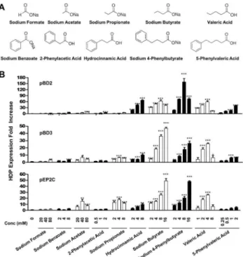 Figure 5. Regulation of pBD2, pBD3, and pEP2C expression by short-chain fatty acids and their phenyl derivatives