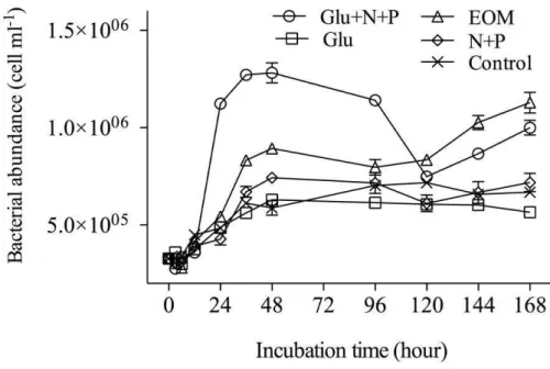 Fig. 1. Variations of bacterial abundance during the incubation time course of various treat- treat-ments