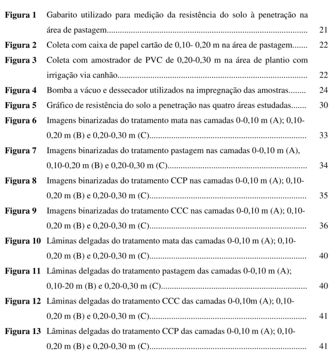 Figura 1  Gabarito  utilizado  para  medição  da  resistência  do  solo  à  penetração  na  área de pastagem...........................................................................................