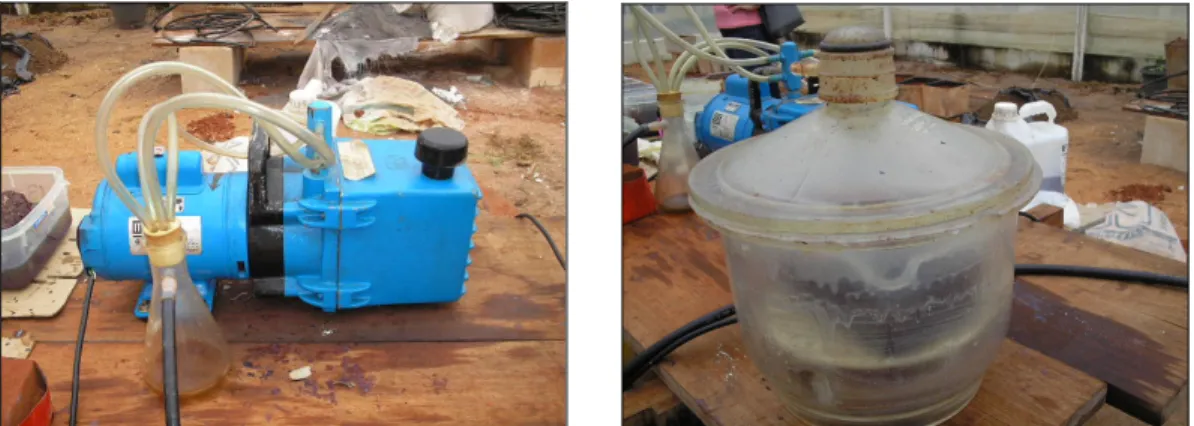 Figura 4. Bomba de vácuo e dessecador utilizados na impregnação das amostras. 