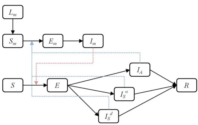 Figure 5. Schematic of the disease transmission pathway. Black arrows indicate transitions between disease states