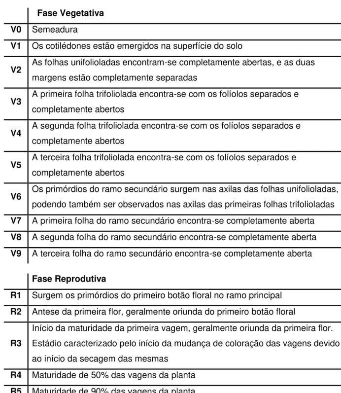 Tabela  1  -  Ciclo  fenológico  do  feijão-caupi  (Vigna  unguiculata)  de  acordo  com  Campos  et  al