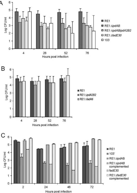 Figure 4. Macrophage infection assays of the human monocyte cell line U937 with R. equi strains