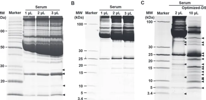 Fig 3. Performance comparison of the enrichment for LMW proteins from human serum using varied methods