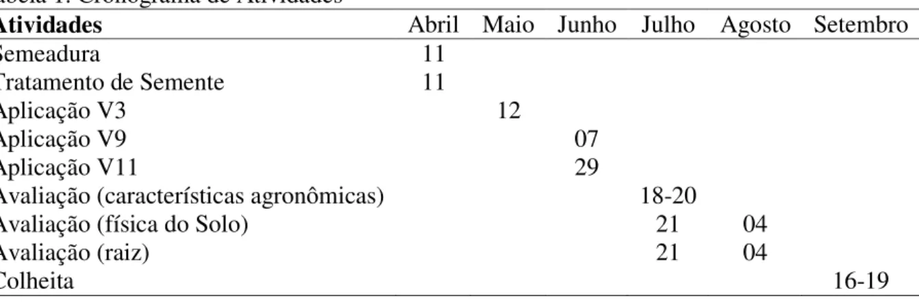 Tabela 1. Cronograma de Atividades 