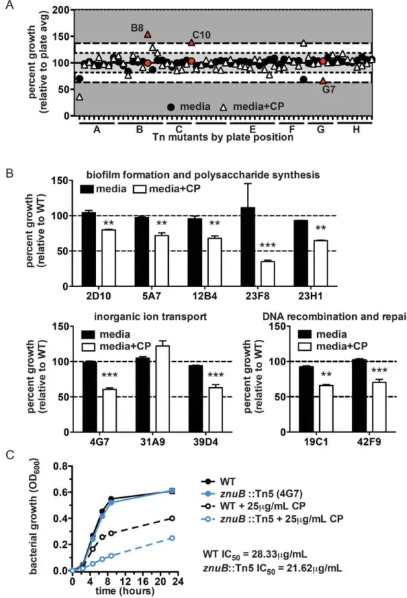 Figure 3. Transposon library screen to identify bacterial processes affected by CP treatment