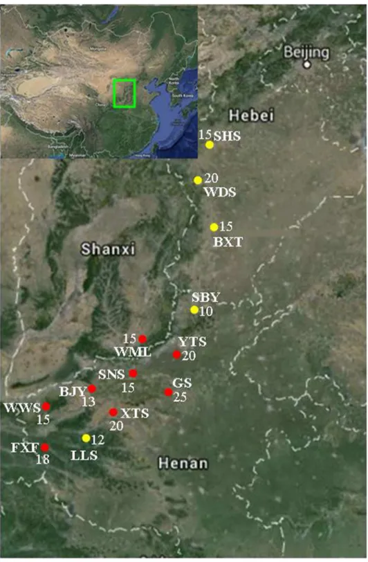 Figure 1. Map of sample sites for Opisthopappus (Asteraceae) on the Taihang Mountains