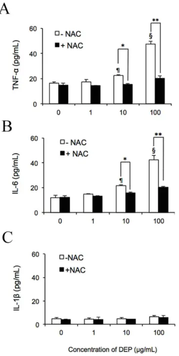 Fig 2. DEP-induced ROS promoted secretion of TNF-α and IL-6 by capillary-like tube cultures in vitro.