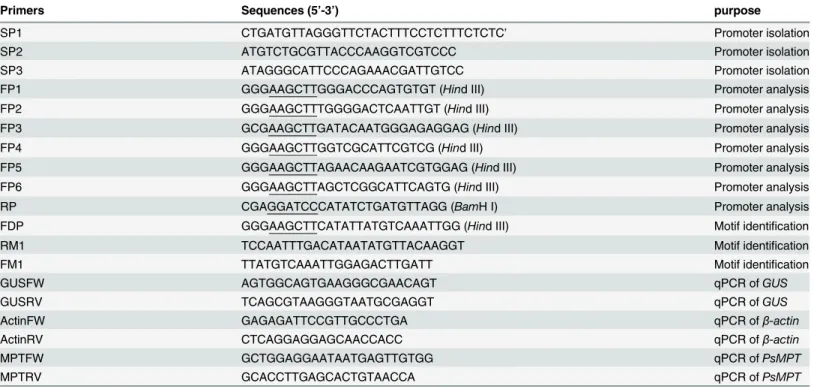 Table 1. The primers used in this paper.