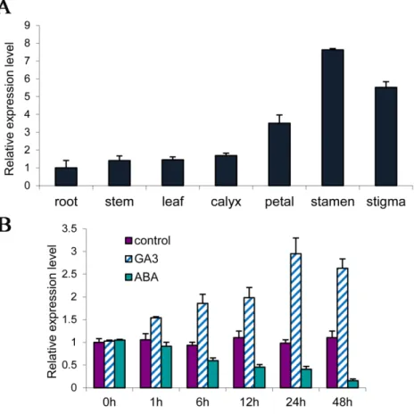 Fig 1. Tissue-specific expression of PsMPT in germinated buds (A) and transcriptional levels of PsMPT in response of GA 3 and ABA of tree peony by qPCR (B)