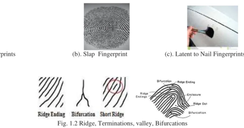 Fig. 1.1 (a). Nail Fingerprints                                   (b). Slap  Fingerprint                       (c)