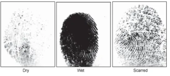 Fig. 2.2 Effects of weather on fingerprints 