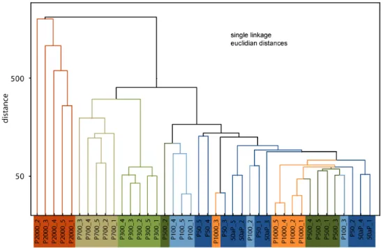 Fig. 6. Cluster diagram for paddy soils and non-paddy soil P500, constructed using all parameters.