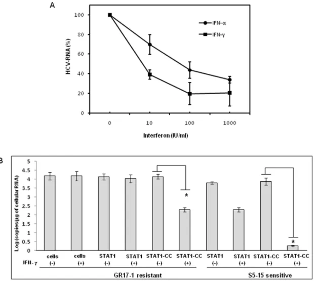 Figure 9. Effect of STAT1-CC and IFN-c on cell culture grown full-length HCV. Stable sensitive (S5-15) and resistant (GR17-1) cell lines with or without STAT1 or STAT1-CC were infected with full length HCV genotype 2a clone JFH1 virus at MOI of 1.0