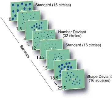 Figure 1. Task Design