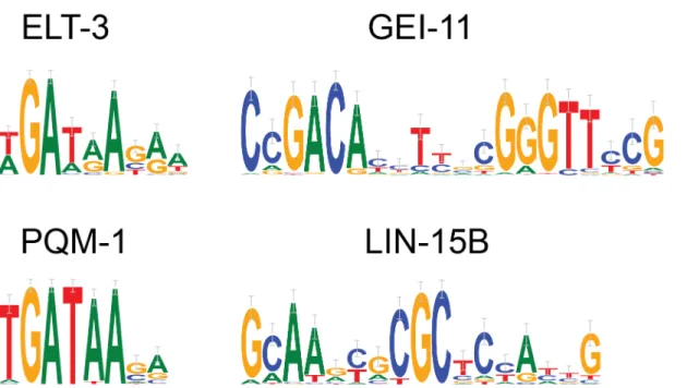 Fig 4. modENCODE ChIP-seq results. Binding specificities for four C. elegans transcription factors as learnt from ChIP-seq data from the modENCODE project.