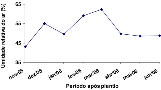 Figura 2 – Dados médios mensais de umidade relativa do ar referentes a novembro de 2005 a  junho de 2006