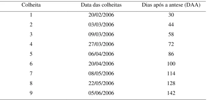 Tabela 1 – Épocas de colheita dos racemos de mamoneira. Botucatu/SP, 2006. 