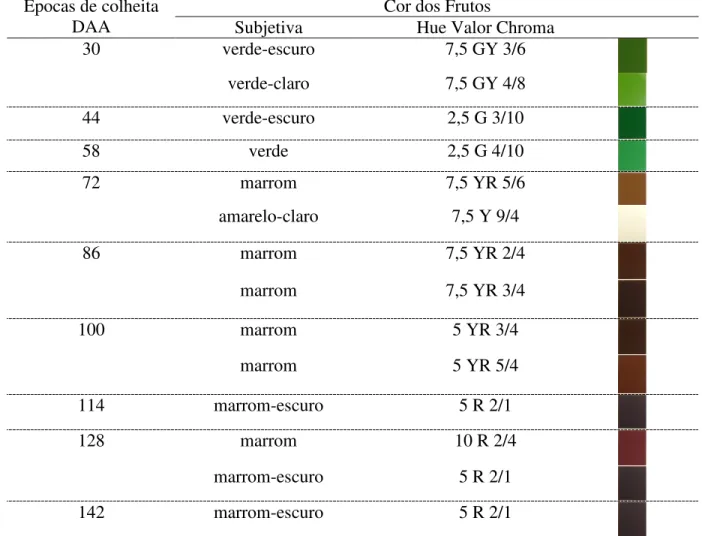 Tabela 5. Cor dos frutos de mamoneira de diferentes épocas de colheita. Botucatu-SP, 2007