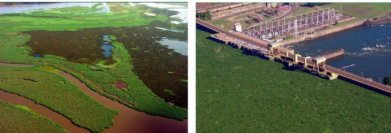 Figura 02. Fotografia aérea demonstrando o potencial de infestação por hidrófitas na área represada do  Rio Piracicaba (esquerda) e junto à barragem da UHE de Bariri, no Rio Tietê (direita)