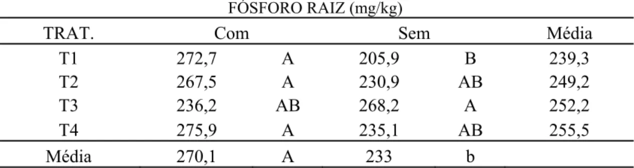Tabela 13: Média de Fósforo na raiz, relevância quando comparados aplicação de  nitrogênio e tratamentos