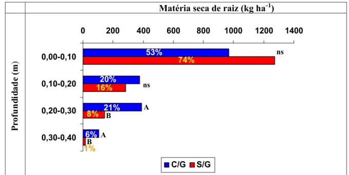 Figura 2. Matéria seca de raiz (kg ha -1 ) de milho em função da aplicação de gesso amostrada durante o período de florescimento