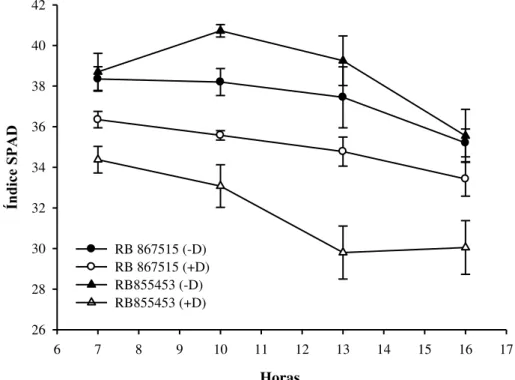 Figura 2. Índice SPAD ao longo do dia nas cultivares RB867515 e RB855453 submetidas  aos regimes hídricos adequado (-D) e deficiência hídrica (+D)