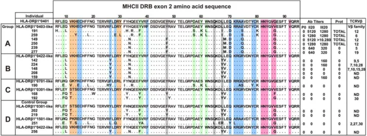 Figure 1. Genotyping, immune response and preferential TCR Vb usage of immunized Aotus monkeys