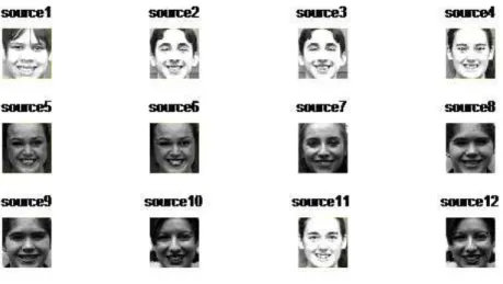 Figure 7. Source images 