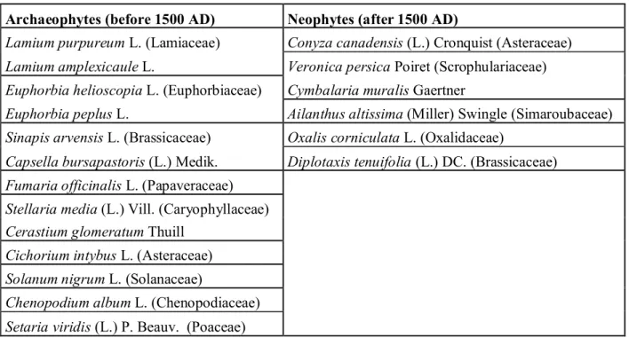 Table 3.  Archaeophyte and neophyte plants  