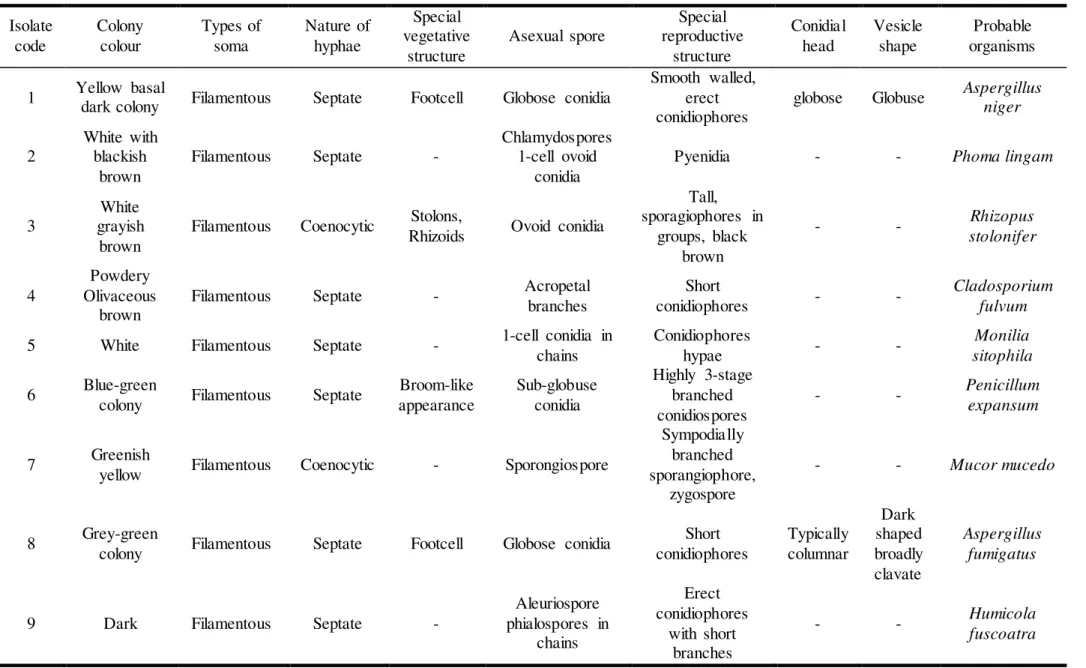 Table 3  Morphological  examination  and  names  of  fungal  isolates  from  proximal  gut  of  A